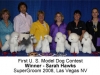 store_model_dog_6_top