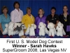 store_model_dog_6_top_general