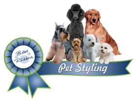 blue ribbon pet grooming